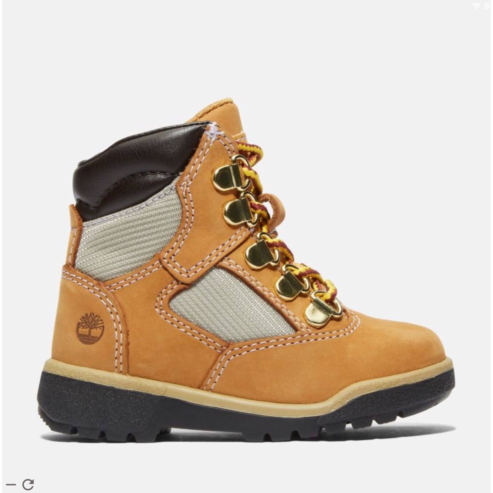 preschool wheat timberlands